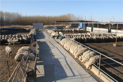 張掖市畜牧獸醫(yī)局牧場(chǎng)工程設(shè)計(jì)要點(diǎn)與發(fā)展趨勢(shì)