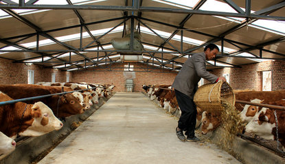 【走進(jìn)“三農(nóng)”】張家川五大產(chǎn)業(yè)齊并進(jìn)（三）畜牧設(shè)備技術(shù)開(kāi)發(fā) 賦能傳統(tǒng)養(yǎng)殖，驅(qū)動(dòng)產(chǎn)業(yè)升級(jí)